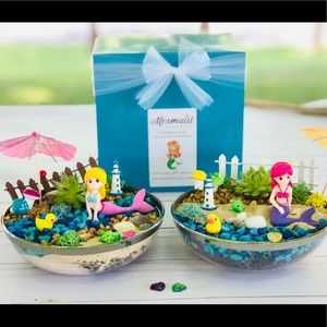 Mermaid Fairy Garden Kit, Succulent Kit, Mermaid